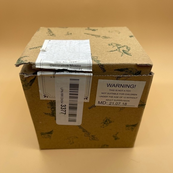 Top Collection | Toys | Miniature Fairy Garden Terrarium Decorative ...